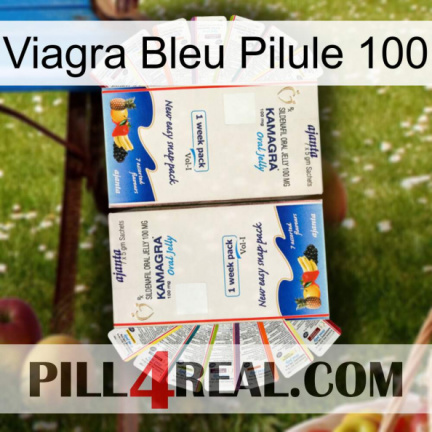 Blue Viagra Pill 100 kamagra1